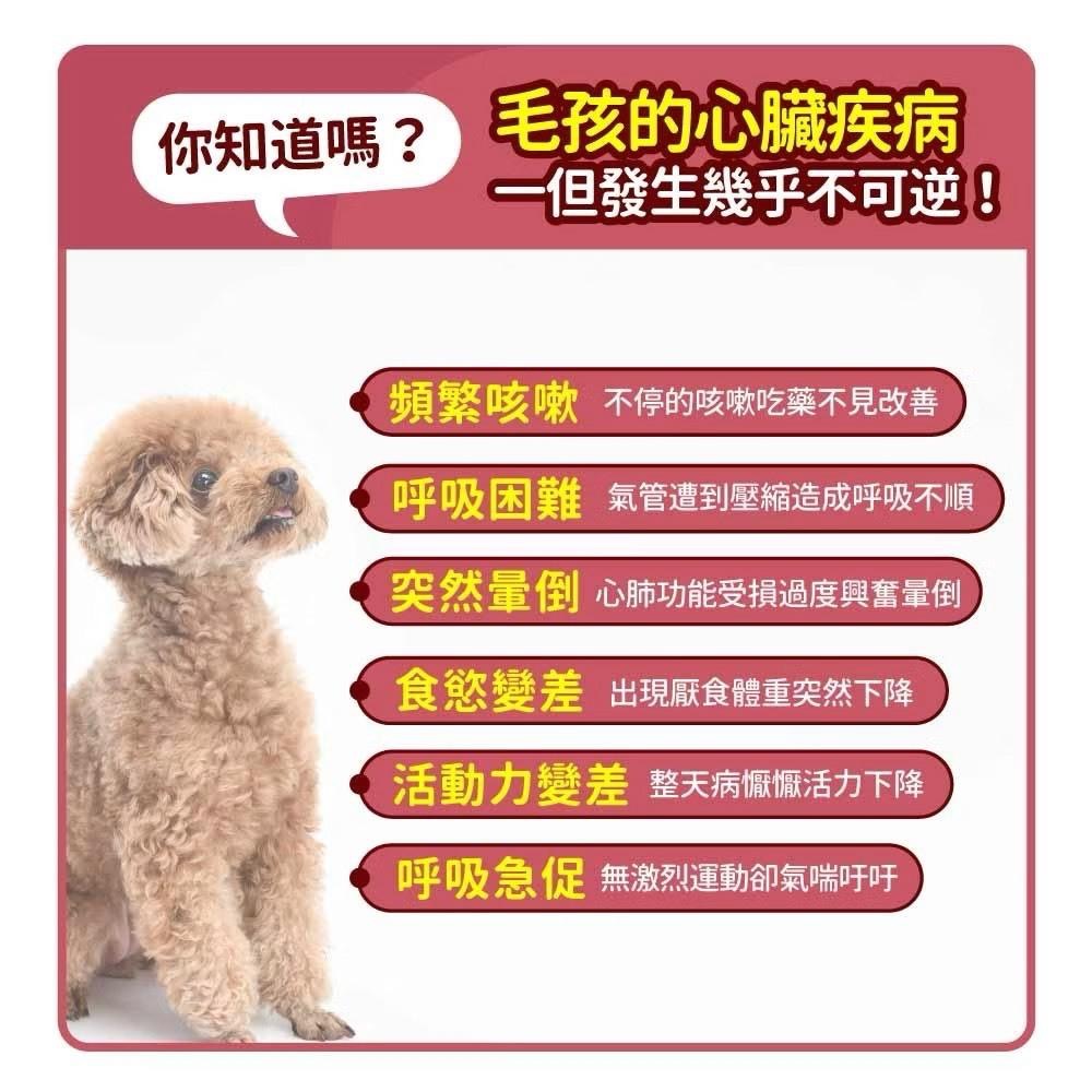 ~Petroyal~ 【毛孩時代】犬貓適用-心臟專科保健粉<30包/盒>寵物保健-貓狗心臟保健食品-Q10輔酶足量添加-細節圖6