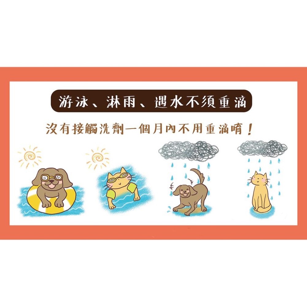 ~Petroyal~Pilou法國皮樂第二代加強配方《天然滴劑-幼小型犬》 幼小型犬滴劑 5公斤以下成犬-細節圖5