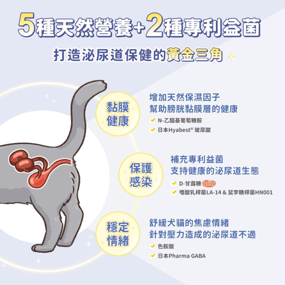 ~Petroyal~【汪喵星球】泌尿道健康保養粉90顆 下泌尿道健康 泌尿道健康保養粉 犬貓皆適用 泌尿道保健 寵物保健-細節圖7