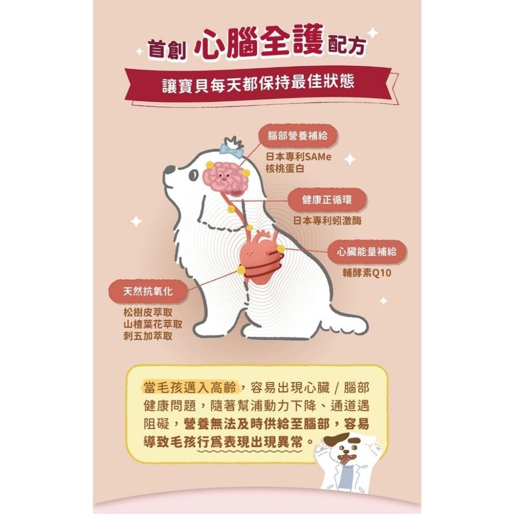 ~Petroyal~ 倍力BLUEBAY 倍力心蚓力 心臟專護保健粉30入 60入 Q10添加 心臟保健 寵物心臟保健品-細節圖4