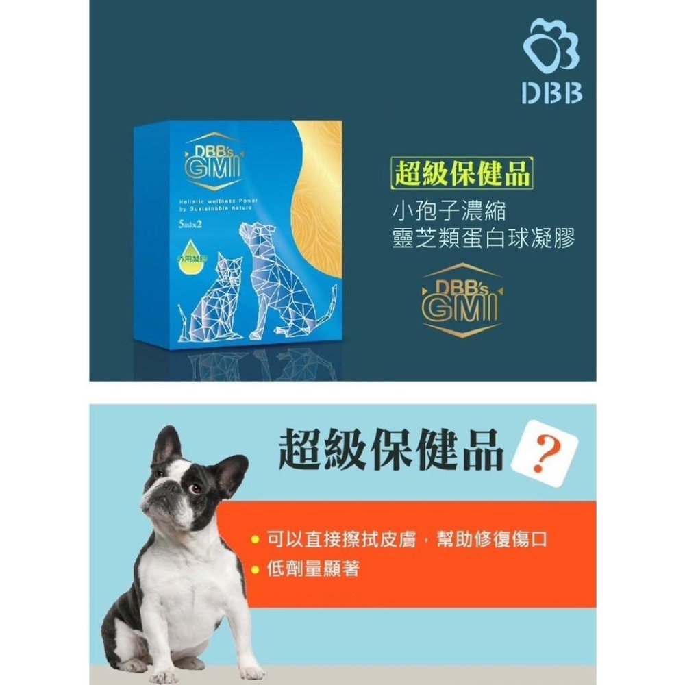 ~~Petroyal~吉沛思 DBB＇s GMI 寵物專用小胞子靈芝類球蛋白凝膠 5ml*2支 外用 小孢子靈芝類蛋白-細節圖4
