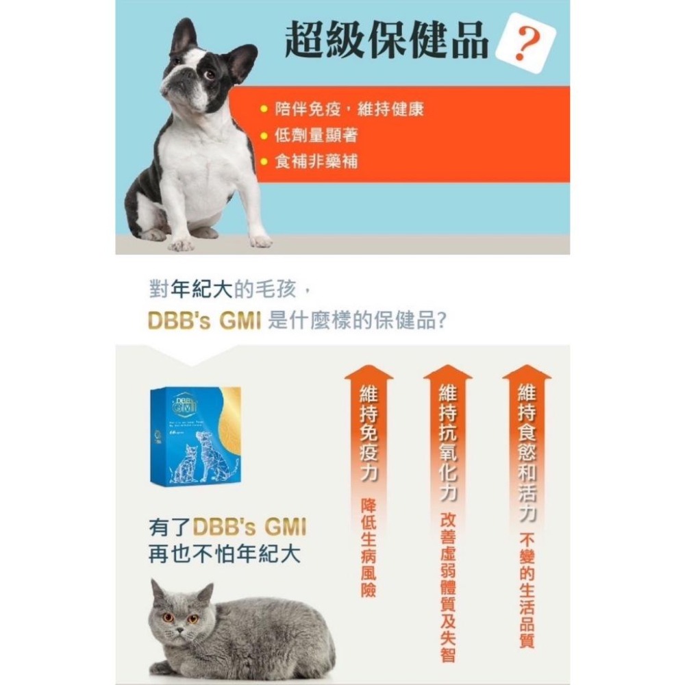 ~Petroyal~ 吉沛思 DBB＇s GMI 寵物專用小胞子靈芝類球蛋白 60顆 新型小孢子靈芝類蛋白 寵物保健品-細節圖3
