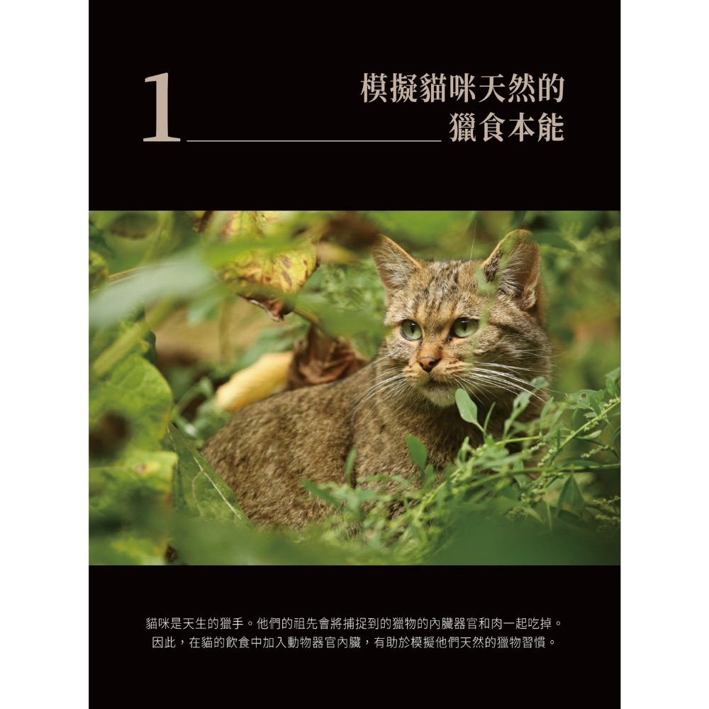 ~Petroyal~ Cherie 法麗 全照護轉轉主食餐包系列 90g 小黑罐 貓餐包 貓罐頭 黑餐包 法麗餐包 整箱-細節圖3