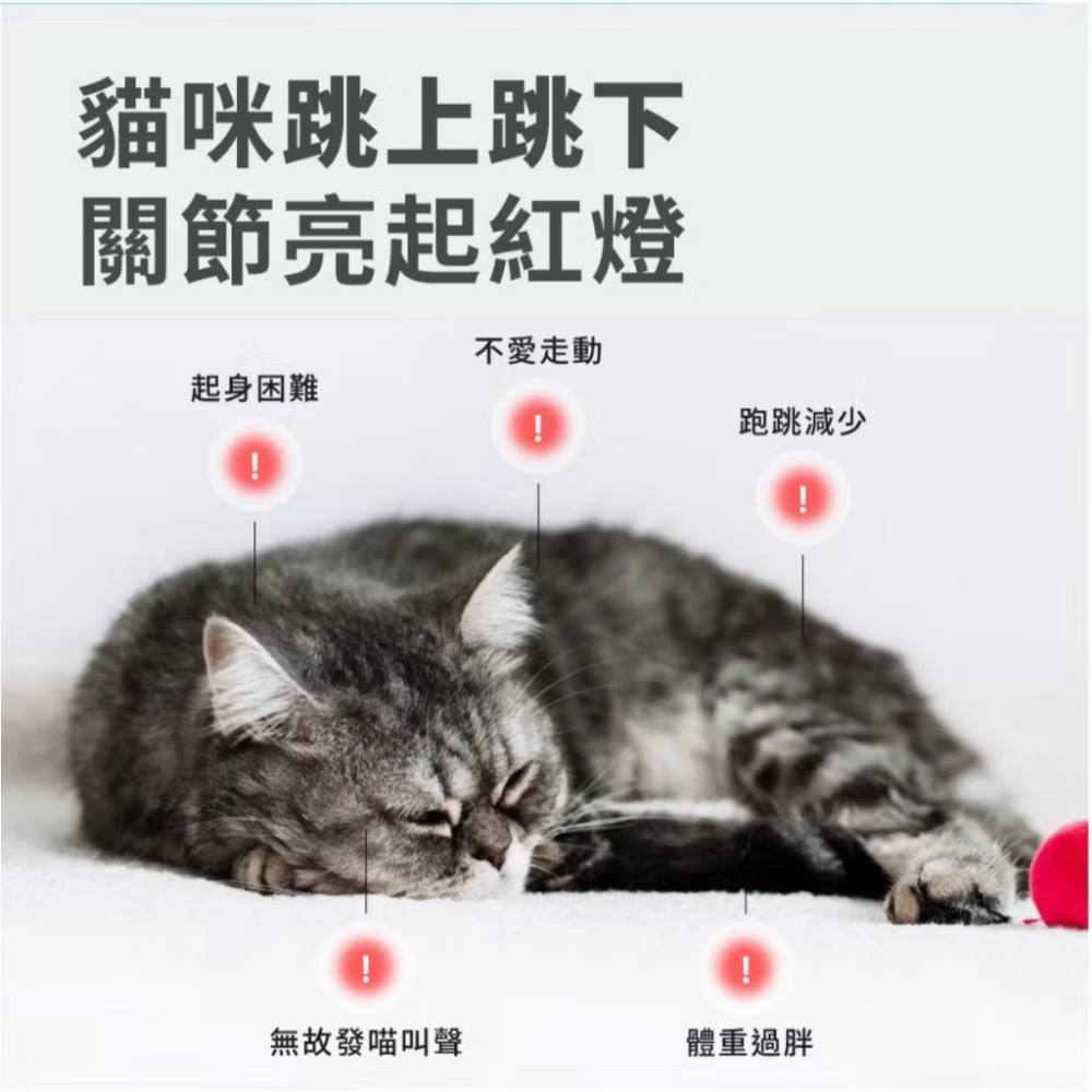 ~Petroyal~【奧沛 OurPet】貓用關沛錠30顆/瓶(貓關節保健食品 寵物關節保養 軟骨素 葡萄糖胺 UC2)-細節圖3