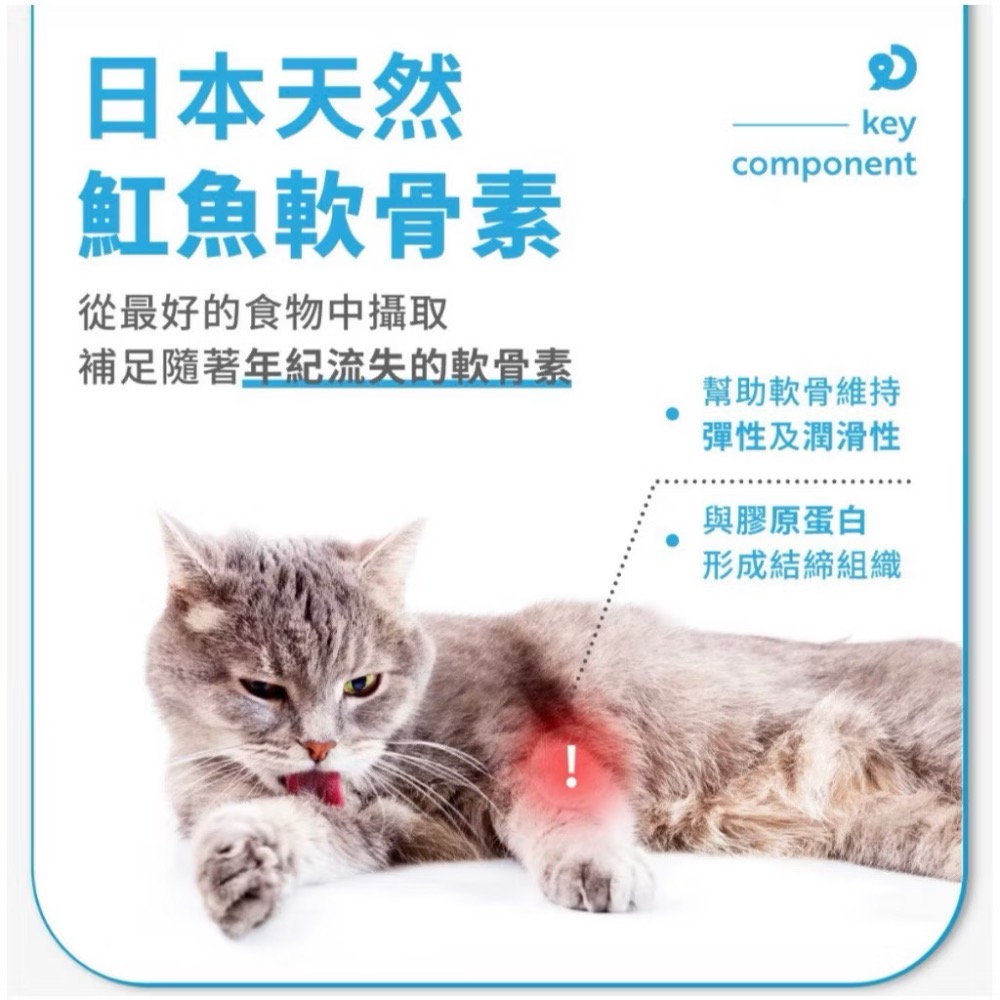 ~Petroyal~【奧沛 OurPet】貓用關沛錠30顆/瓶(貓關節保健食品 寵物關節保養 軟骨素 葡萄糖胺 UC2)-細節圖8