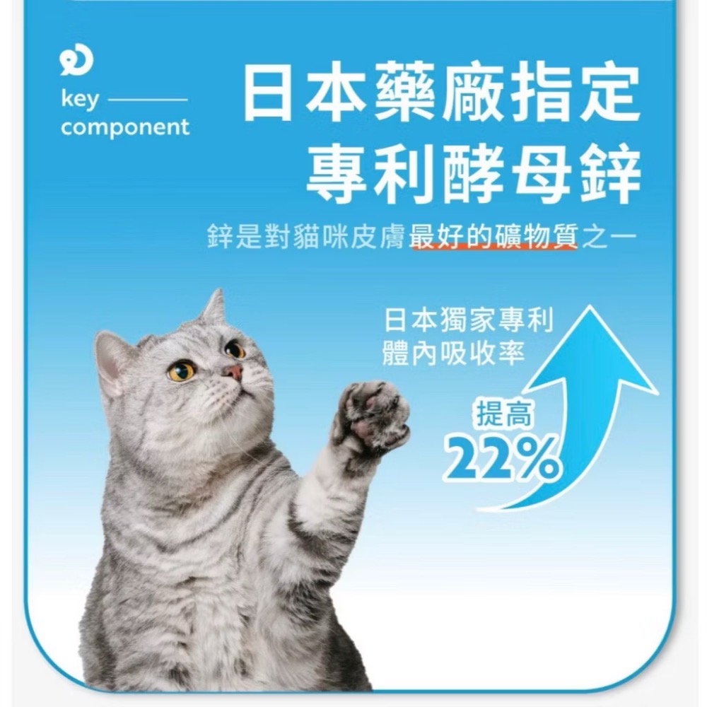 ~Petroyal~ 【奧沛 OurPet】貓用膚沛錠30顆/瓶(貓皮膚保健食品 皮膚保養 玻尿酸 神經醯胺 酵母鋅)-細節圖6