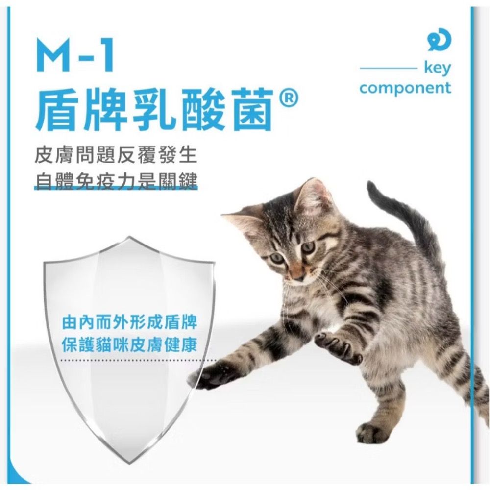 ~Petroyal~ 【奧沛 OurPet】貓用膚沛錠30顆/瓶(貓皮膚保健食品 皮膚保養 玻尿酸 神經醯胺 酵母鋅)-細節圖8