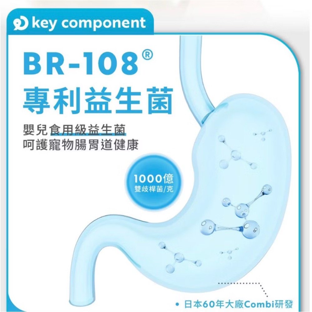 ~Petroyal~【奧沛 OurPet】貓用腸沛錠30顆/瓶(貓腸胃保健食品 腸胃保養 益生菌 菊苣纖維 植物酵素)-細節圖7