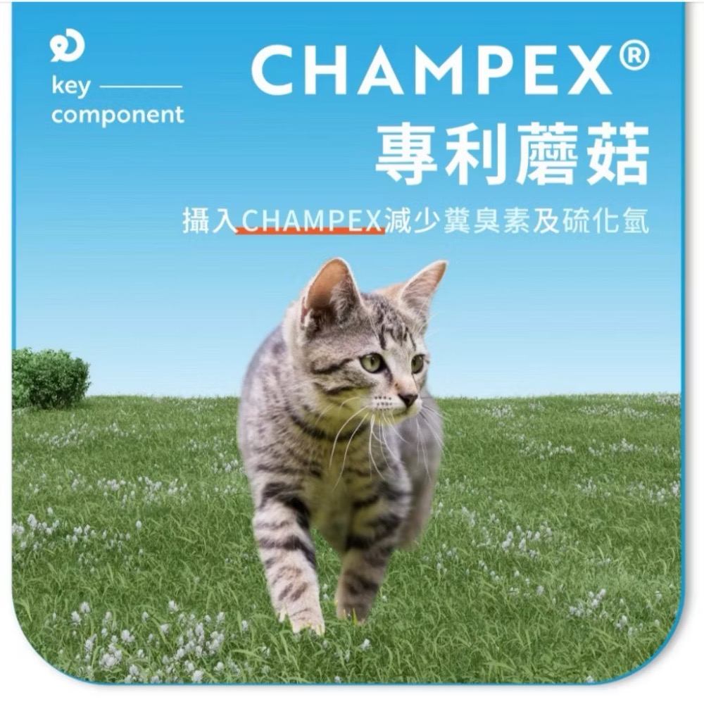 ~Petroyal~【奧沛 OurPet】貓用腸沛錠30顆/瓶(貓腸胃保健食品 腸胃保養 益生菌 菊苣纖維 植物酵素)-細節圖8