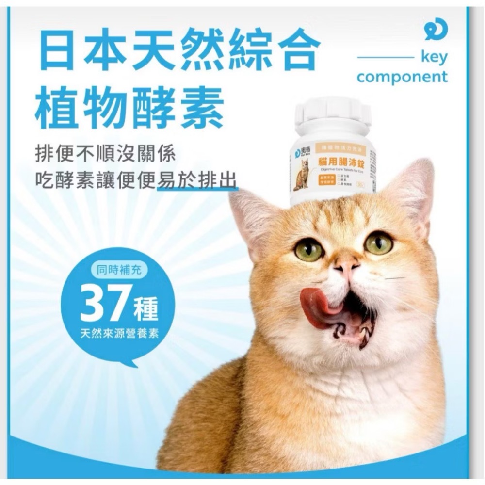 ~Petroyal~【奧沛 OurPet】貓用腸沛錠30顆/瓶(貓腸胃保健食品 腸胃保養 益生菌 菊苣纖維 植物酵素)-細節圖9