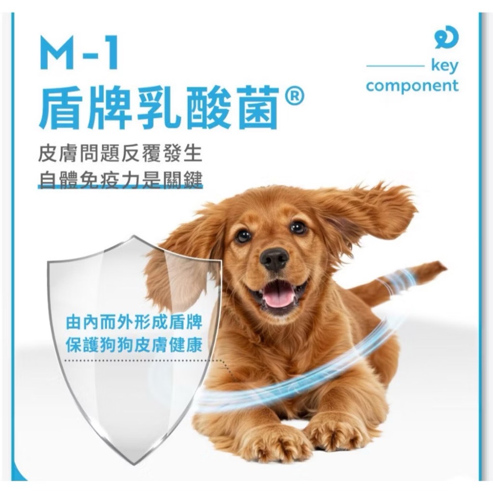 ~Petroyal~【奧沛 OurPet】犬用膚沛錠30顆/瓶(狗皮膚保健食品 玻尿酸 神經醯胺 乳酸菌 酵母鋅)-細節圖5