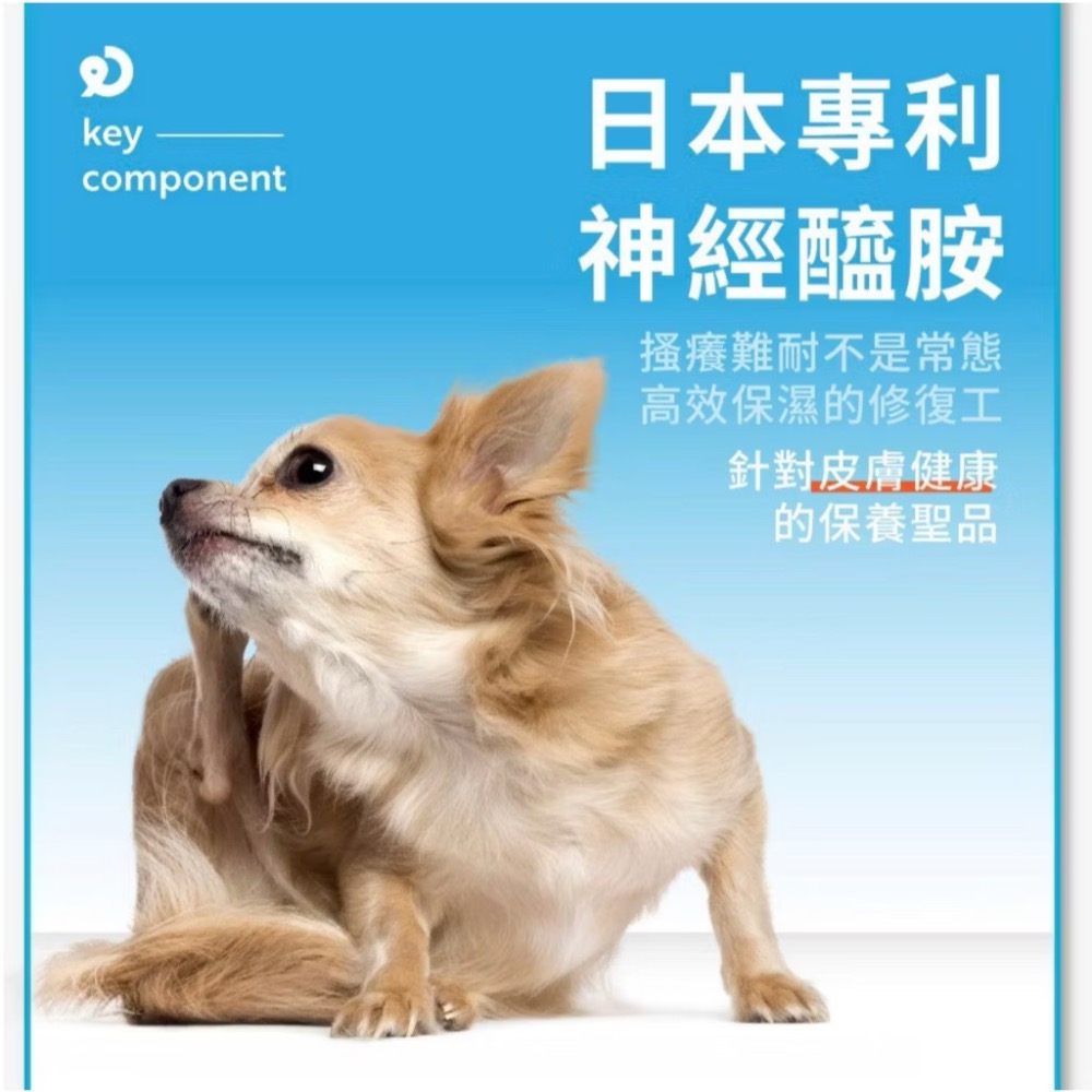 ~Petroyal~【奧沛 OurPet】犬用膚沛錠30顆/瓶(狗皮膚保健食品 玻尿酸 神經醯胺 乳酸菌 酵母鋅)-細節圖7