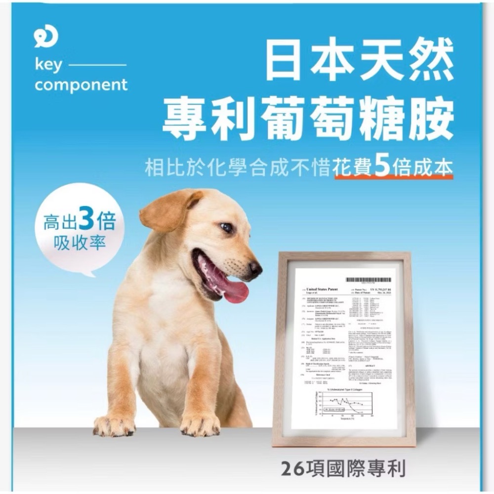 ~Petroyal~【奧沛 OurPet】犬用關沛錠30顆/瓶(狗關節保健食品 寵物關節保養 軟骨素 葡萄糖胺 UC2)-細節圖5