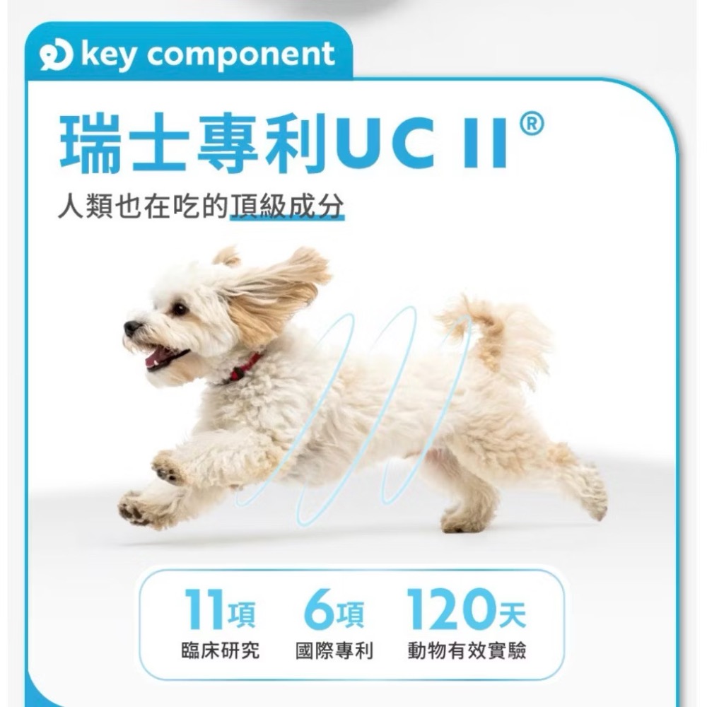 ~Petroyal~【奧沛 OurPet】犬用關沛錠30顆/瓶(狗關節保健食品 寵物關節保養 軟骨素 葡萄糖胺 UC2)-細節圖6