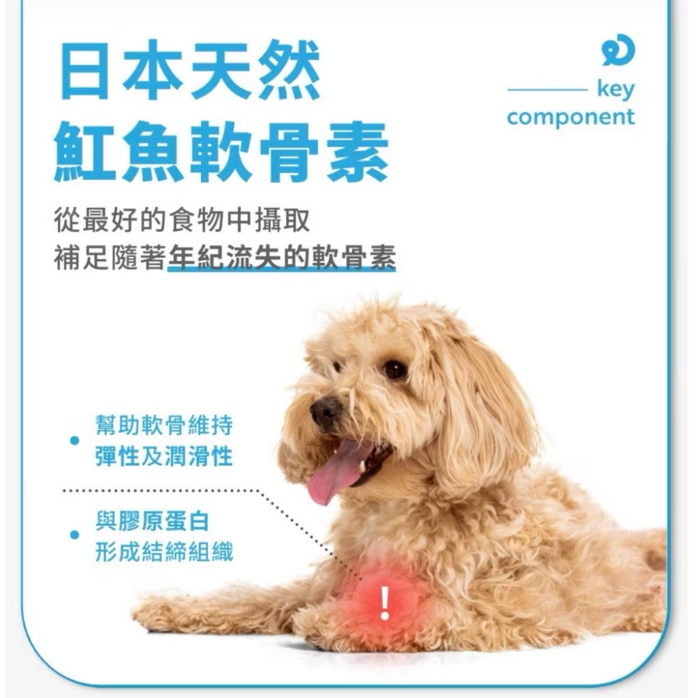 ~Petroyal~【奧沛 OurPet】犬用關沛錠30顆/瓶(狗關節保健食品 寵物關節保養 軟骨素 葡萄糖胺 UC2)-細節圖7