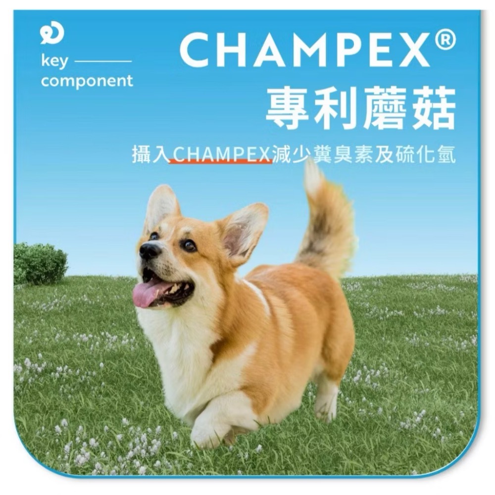 ~Petroyal ~【奧沛 OurPet】犬用腸沛錠30顆/瓶(狗腸胃保健 寵物腸胃保養 益生菌 菊苣纖維 植物酵素)-細節圖6