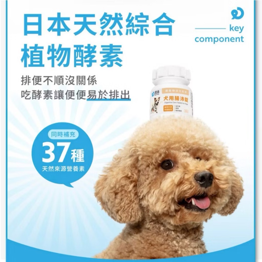 ~Petroyal ~【奧沛 OurPet】犬用腸沛錠30顆/瓶(狗腸胃保健 寵物腸胃保養 益生菌 菊苣纖維 植物酵素)-細節圖7