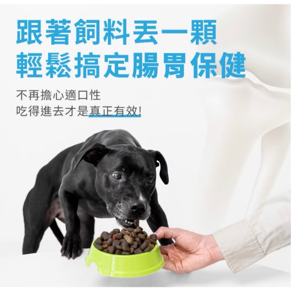 ~Petroyal ~【奧沛 OurPet】犬用腸沛錠30顆/瓶(狗腸胃保健 寵物腸胃保養 益生菌 菊苣纖維 植物酵素)-細節圖9