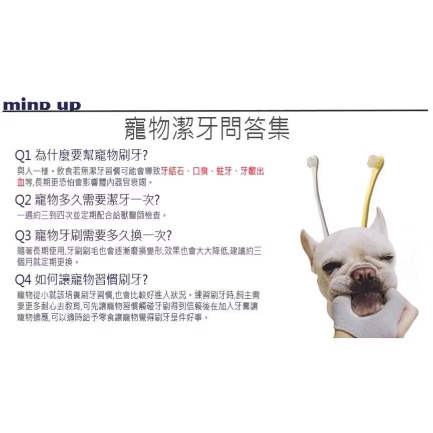 ~Petroyal~ Mind up 貓咪專業去除齒垢工具(平頭/尖頭) Alpha  Beta 日本製 貓牙刷 刷牙-細節圖5