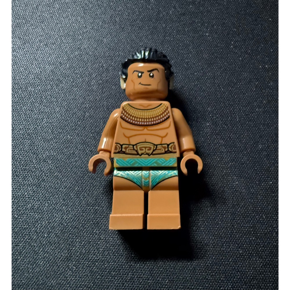 『比爾玩樂』LEGO Marvel sh841 King Namor 展品已組-細節圖2