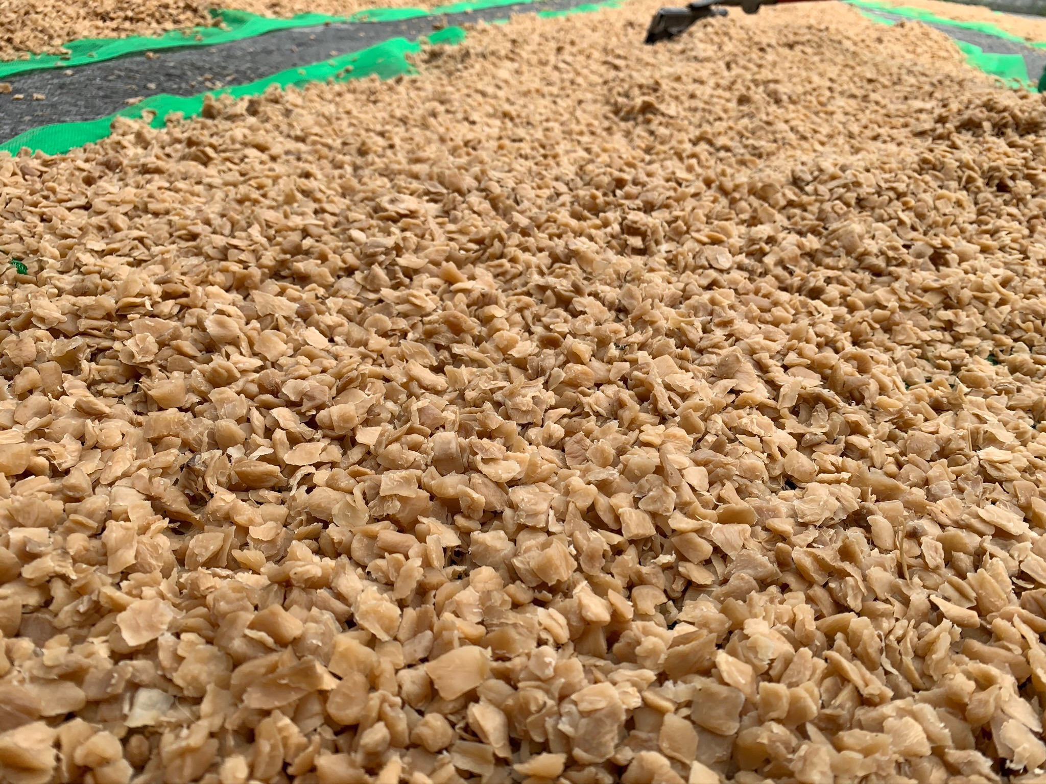 菜脯，金黃碎脯，珍珠脯，手切脯-細節圖2