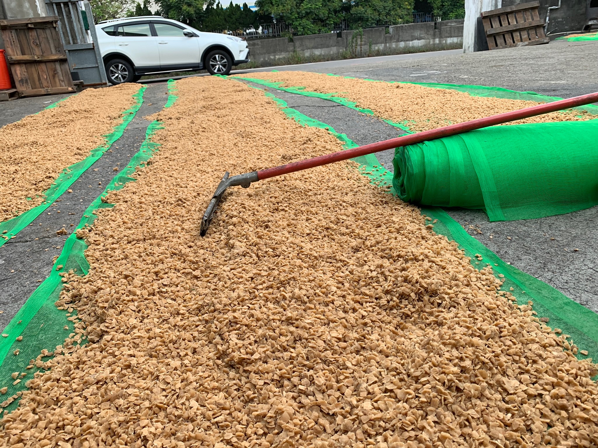 菜脯，金黃碎脯，珍珠脯，手切脯-細節圖3