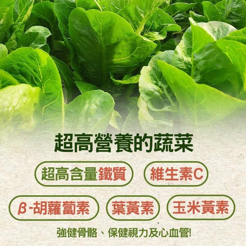 乾燥菠菜50克｜乾燥蔬菜湯包｜長期保存乾燥蔬菜｜沖泡即食快速蔬菜湯底｜登山防災露營食材｜無添加純素蔬菜乾-細節圖2