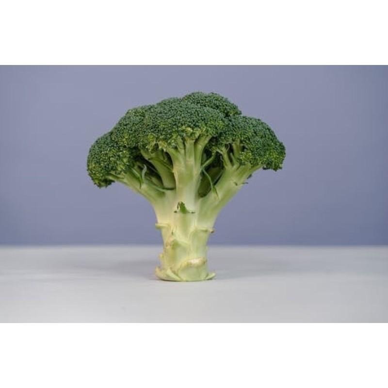 抗漲特區↘防疫蔬菜包3入（買1送3）防疫不求人-細節圖6