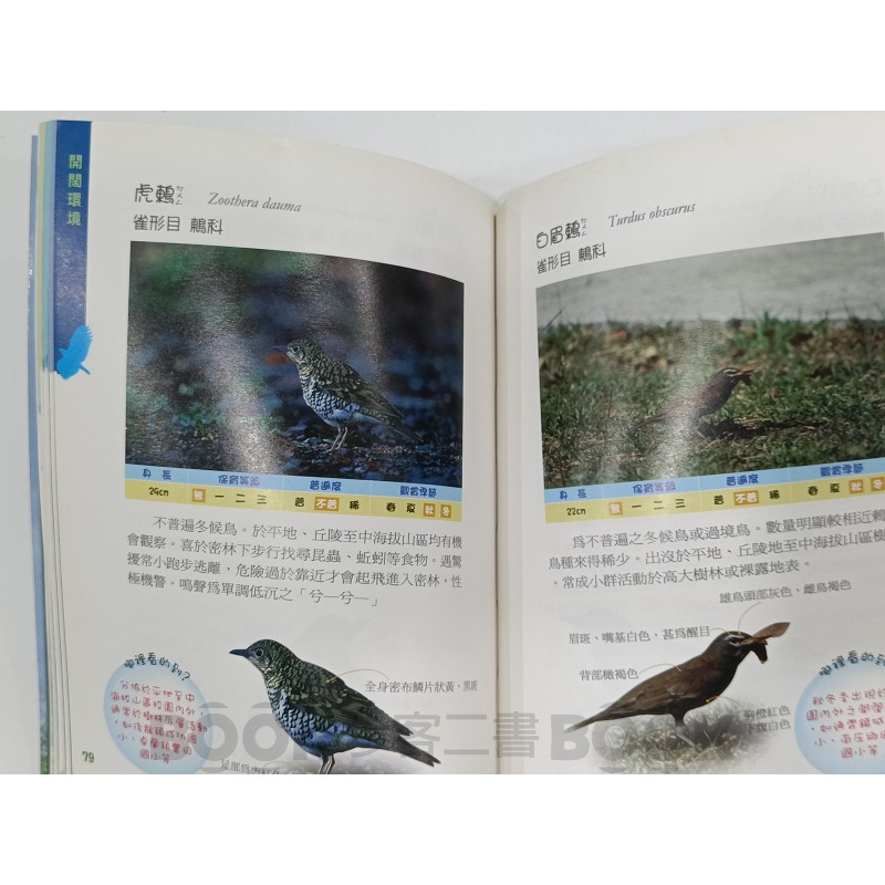 【二手書籍】《苗栗縣政府》苗栗縣校園常見鳥類解說手冊 周大慶-細節圖6