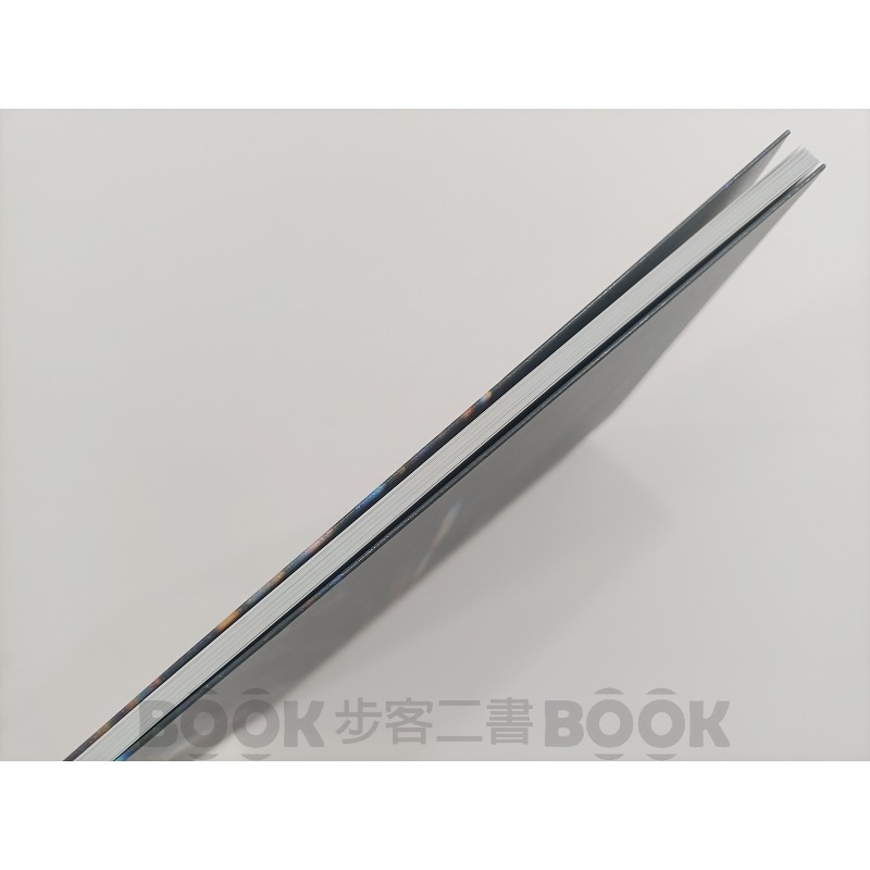 【二手書籍】(近全新) 新藝術運動 Art Nouveau 導冊 展覽導冊-細節圖2