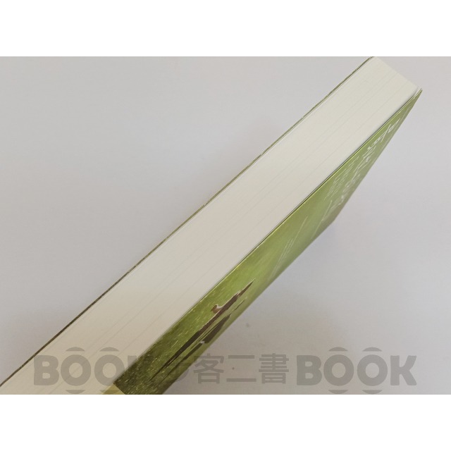 【二手書籍】(近全新) 《春光》最好的妳   克莉絲汀．漢娜-細節圖2