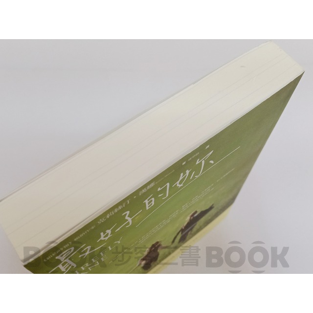 【二手書籍】(近全新) 《春光》最好的妳   克莉絲汀．漢娜-細節圖3