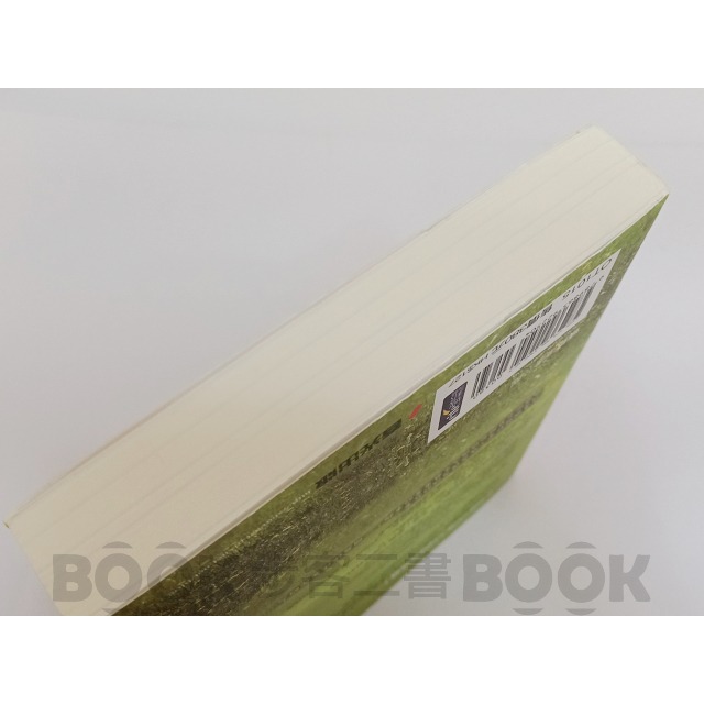 【二手書籍】(近全新) 《春光》最好的妳   克莉絲汀．漢娜-細節圖4