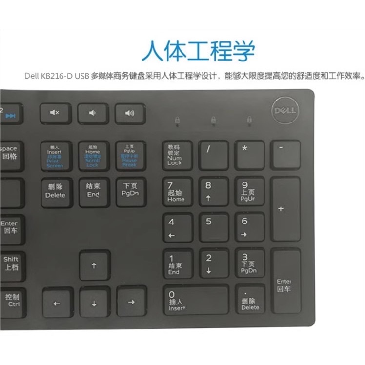 ￼Dell 戴爾（無注音）KB216 USB 多媒體鍵盤 全新現貨不用等-細節圖8