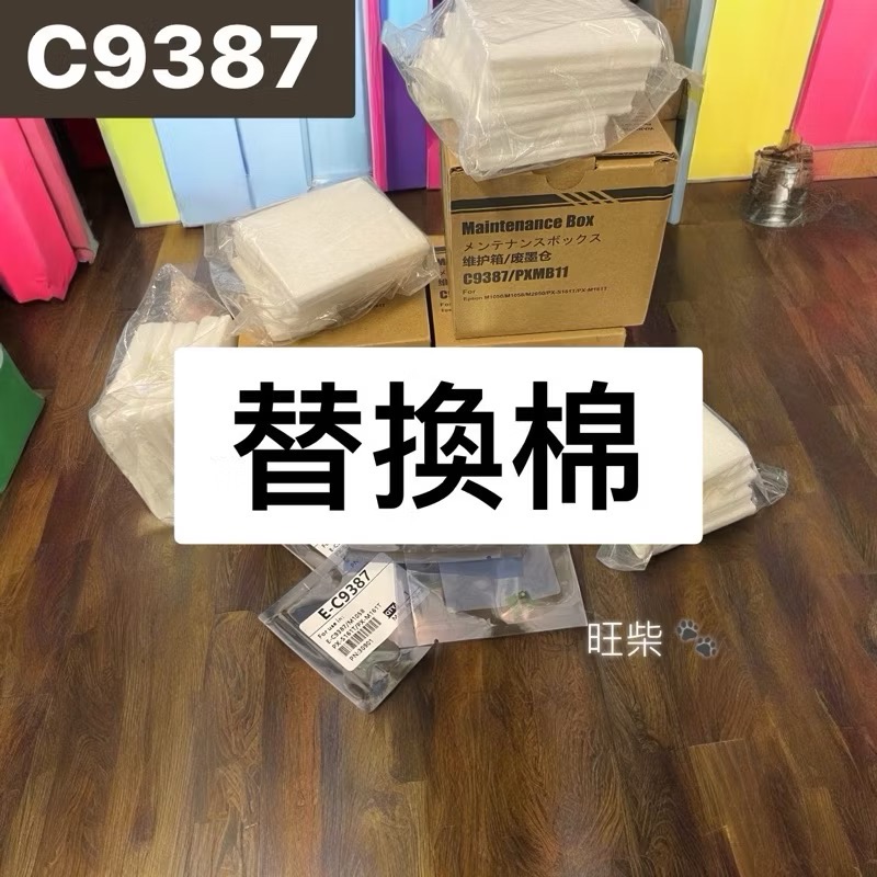 Epson C9387廢墨盒含晶片 M1050 M1058 M2050 PX-S161T M161T PXMB11適用-規格圖7
