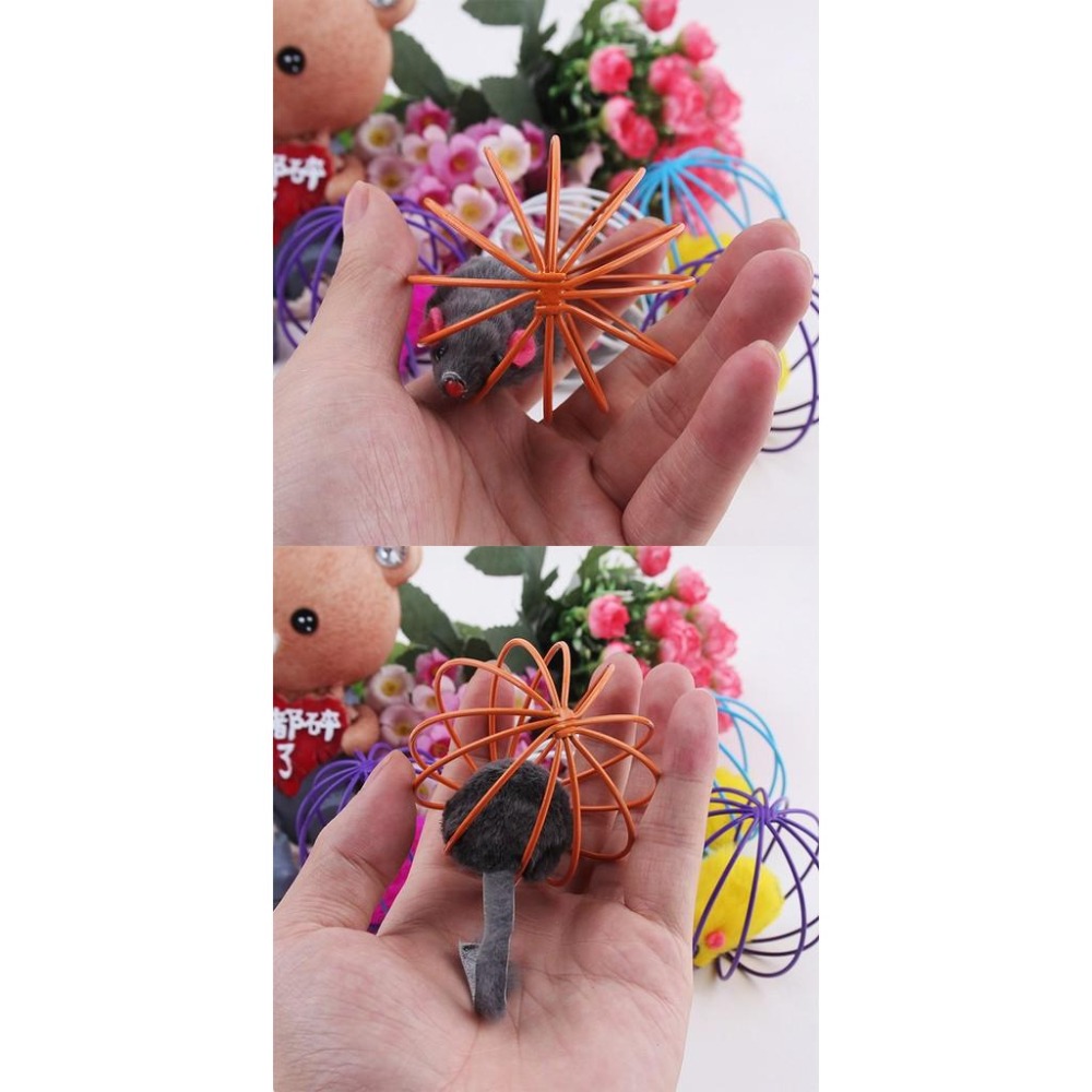 小白豬『籠中鼠』逗貓玩具.貓咪玩具.囚籠鼠.貓捉老鼠玩具.老鼠球.貓玩具.彩色老鼠玩具.幼貓玩具.新手養貓-細節圖2