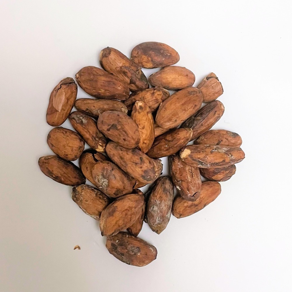 養身頂級可可豆-細節圖4