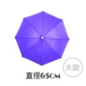 紫 65cm