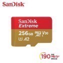 公司貨享保固 Sandisk A2 記憶卡 運動攝影機 空拍機專用款 32G 64G 128G 256G EA305-規格圖8