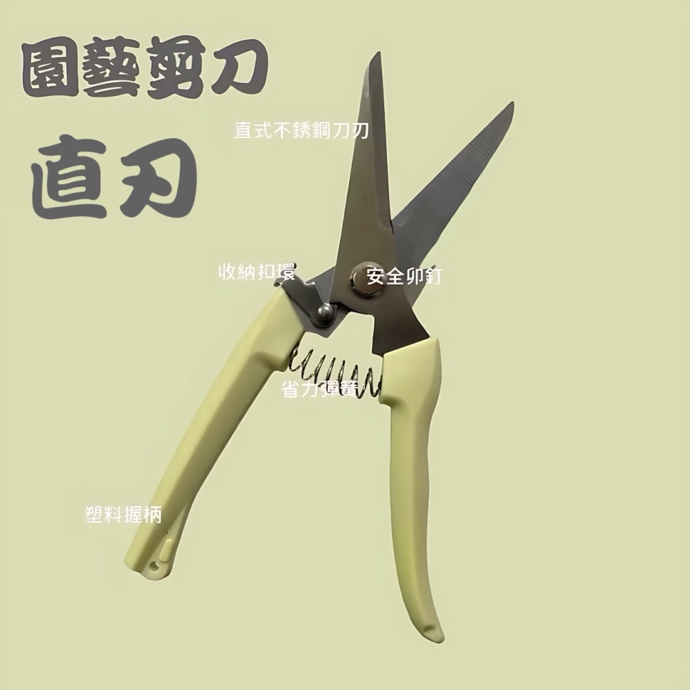 花枝剪刀 粗枝剪刀 樹枝剪 修枝剪 園藝剪刀 高碳鋼修枝剪 剪刀 高枝剪 果樹剪 花剪 檳榔剪刀 花草剪刀 EA508-細節圖8