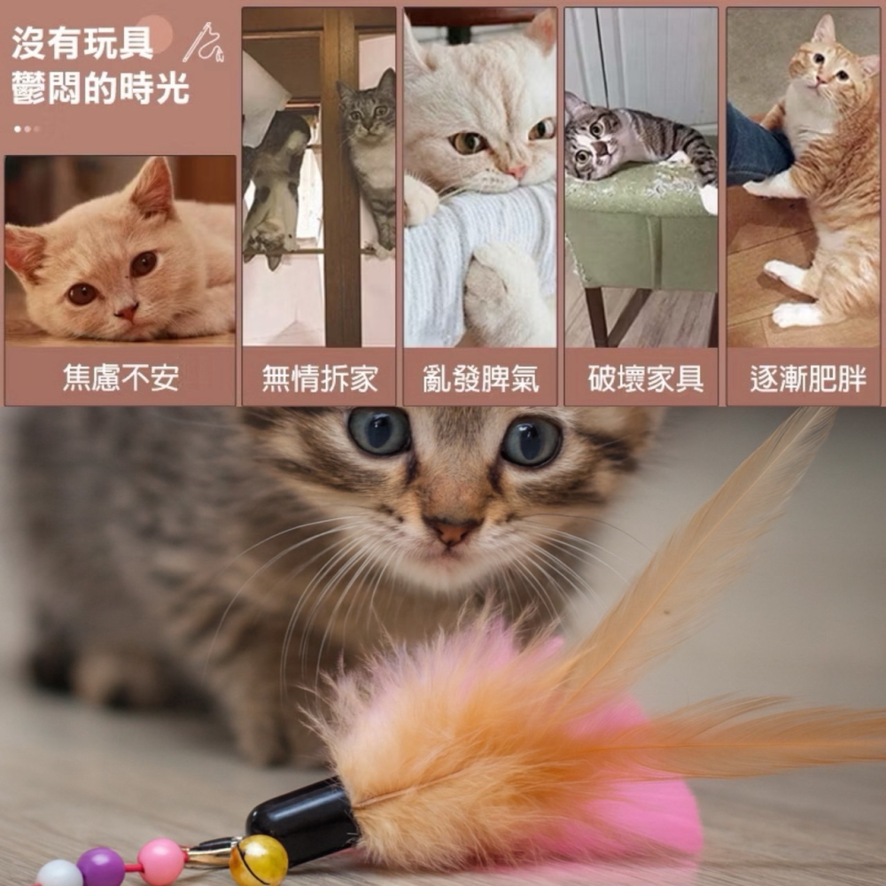鈴鐺逗貓棒 釣竿逗貓棒 貓咪玩具 羽毛逗貓棒 逗貓 逗貓棒 貓玩具 貓咪用品 貓用品 逗貓玩具 貓 寵物玩具 EA931-細節圖5