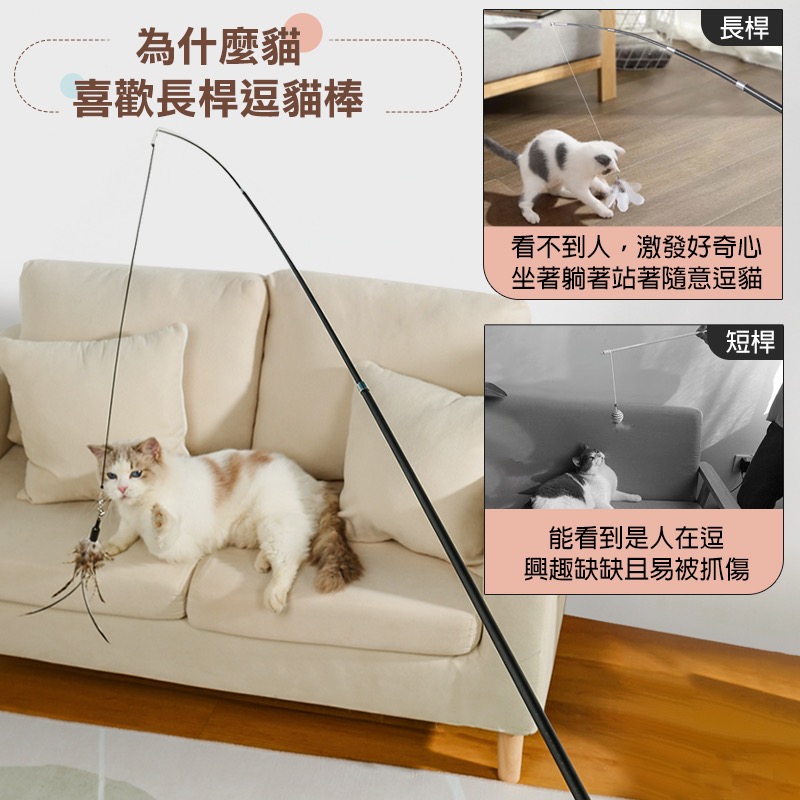 釣竿逗貓棒 貓咪玩具 三節 伸縮逗貓棒 逗貓 逗貓棒 貓玩具 貓咪用品 貓用品 逗貓玩具 貓 寵物玩具 KA0034-細節圖4