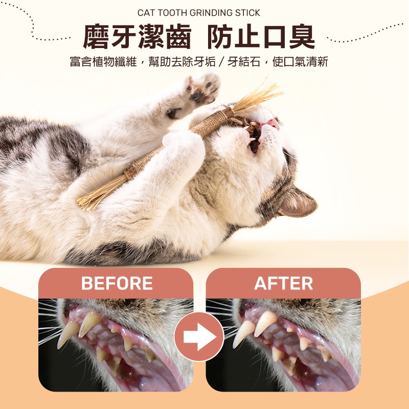 木天蓼磨牙棒 貓咪磨牙棒 木天蓼棒 拉菲草 木天蓼 蟲癭果 貓咪潔牙 貓 磨牙玩具 貓咪用品 貓咪磨牙玩具 KA0042-細節圖2