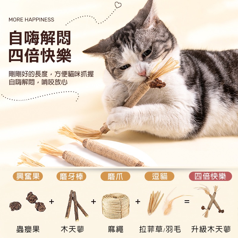 木天蓼磨牙棒 貓咪磨牙棒 木天蓼棒 拉菲草 木天蓼 蟲癭果 貓咪潔牙 貓 磨牙玩具 貓咪用品 貓咪磨牙玩具 KA0042-細節圖3