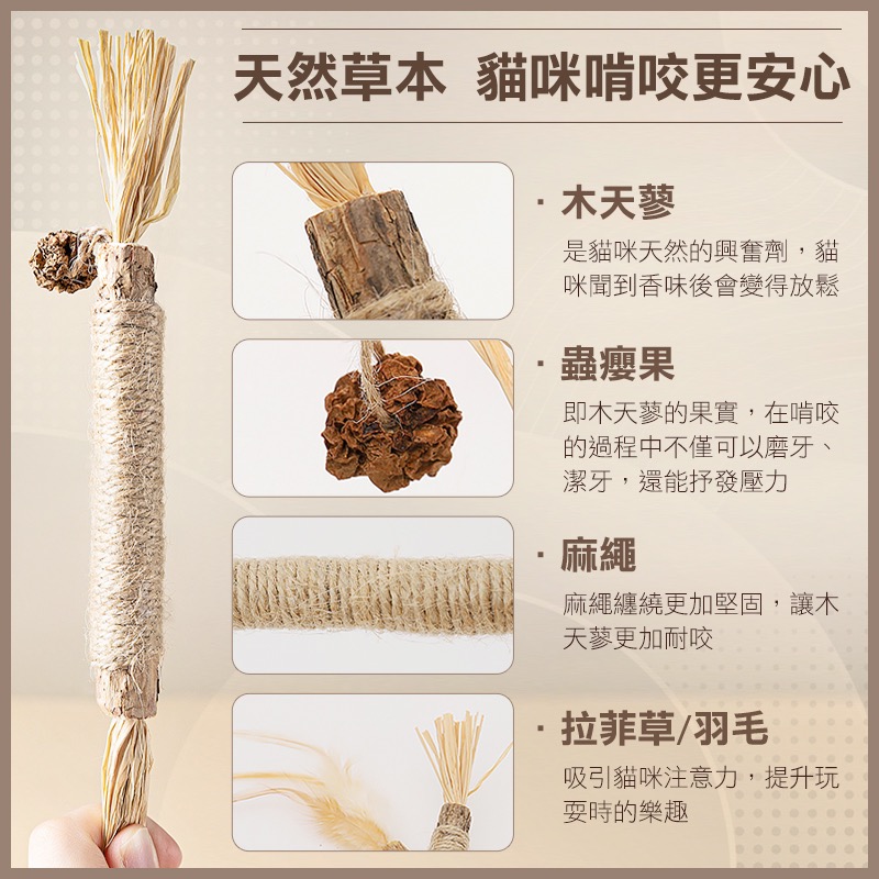 木天蓼磨牙棒 貓咪磨牙棒 木天蓼棒 拉菲草 木天蓼 蟲癭果 貓咪潔牙 貓 磨牙玩具 貓咪用品 貓咪磨牙玩具 KA0042-細節圖4