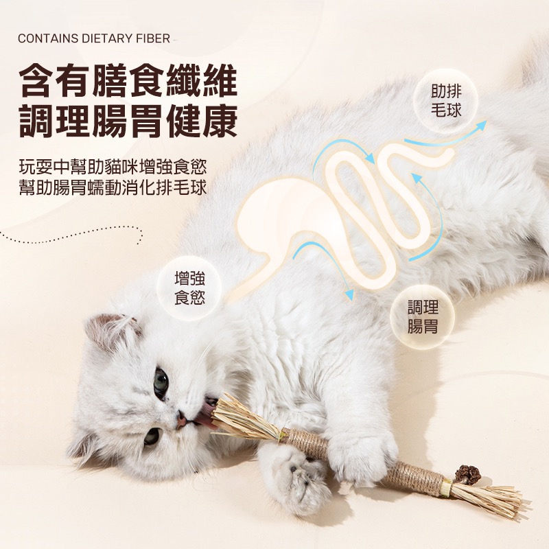 木天蓼磨牙棒 貓咪磨牙棒 木天蓼棒 拉菲草 木天蓼 蟲癭果 貓咪潔牙 貓 磨牙玩具 貓咪用品 貓咪磨牙玩具 KA0042-細節圖5