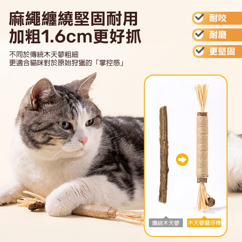 木天蓼磨牙棒 貓咪磨牙棒 木天蓼棒 拉菲草 木天蓼 蟲癭果 貓咪潔牙 貓 磨牙玩具 貓咪用品 貓咪磨牙玩具 KA0042-細節圖6