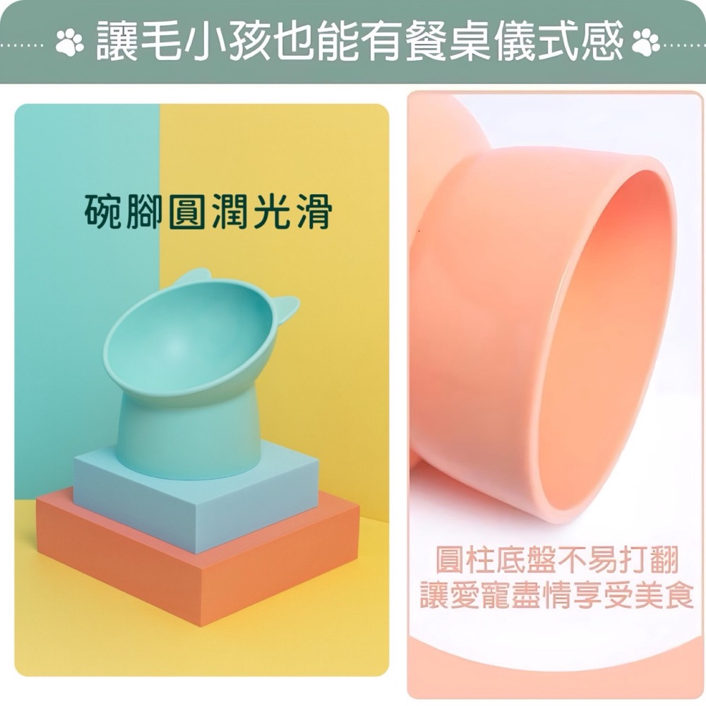 寵物傾斜高腳碗 寵物護頸碗 寵物高腳碗 寵物斜口碗 高腳碗 斜口碗 護頸碗 架高碗 護頸寵物碗 貓碗 寵物 EA880-細節圖2