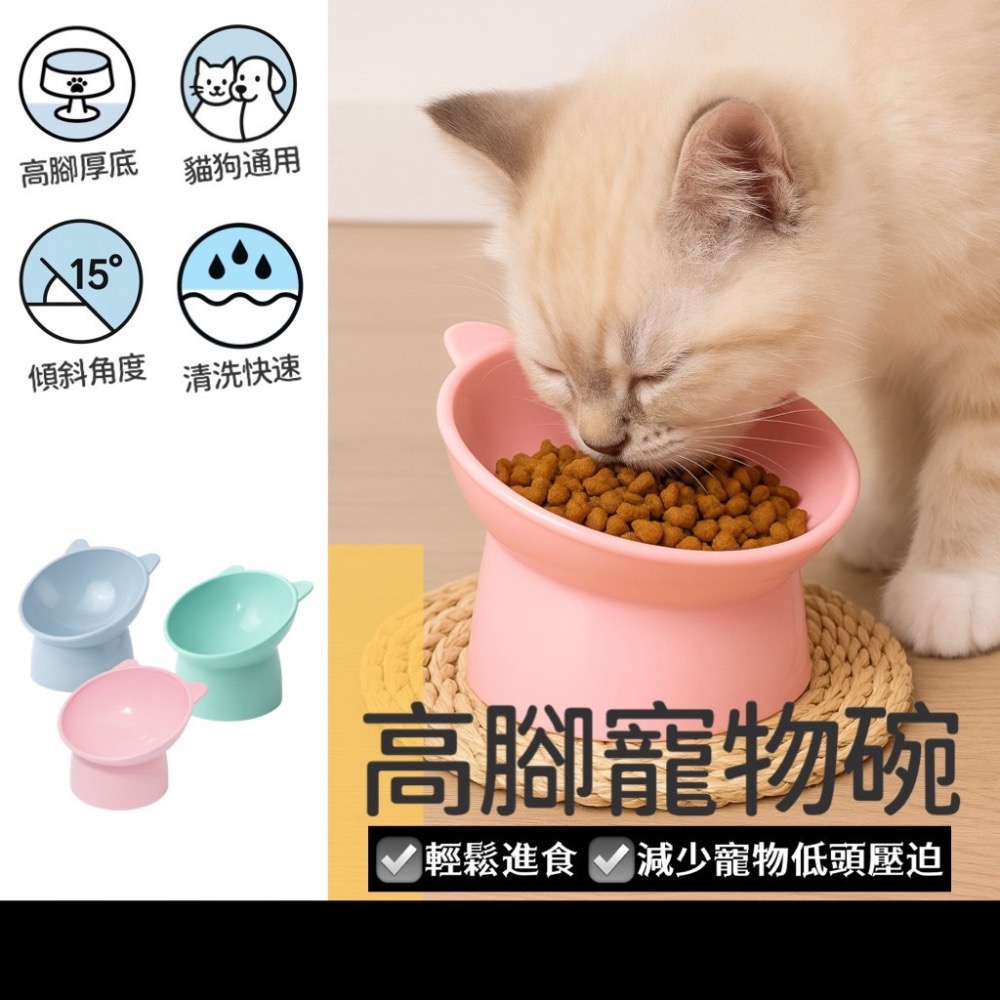 寵物傾斜高腳碗 寵物護頸碗 寵物高腳碗 寵物斜口碗 高腳碗 斜口碗 護頸碗 架高碗 護頸寵物碗 貓碗 寵物 EA880-細節圖7