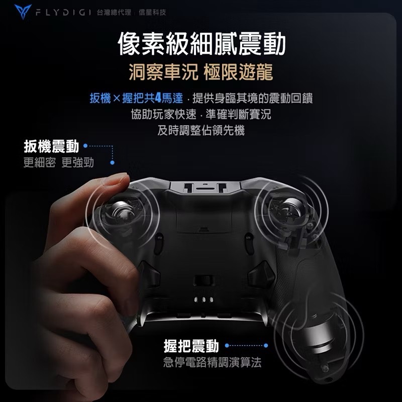 飛智 FLYDIGI 黑武士5 PRO 競技精英手把 遊戲手把 PC手把 電腦手把 switch 電競手把 EA1012-細節圖9